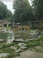 thn_straubing-tierpark-17.jpg