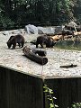 thn_straubing-tierpark-18.jpg