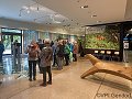 thn_koenigsee-01.jpg