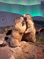 thn_koenigsee-03.jpg