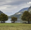 thn_koenigsee-40.jpg